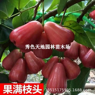 �ڽ���ɏ�F����޽�̨����Ʒ�N���ǰűȹ�����箔��Y���������~
