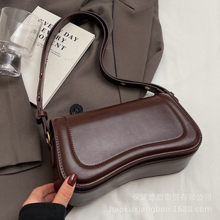 Niche Armpit Bag Women's Autumn and Winter 2024 New Trendy Fashion Small Square Bag High-End Texture Foreign Style Versatile Crossbody Bag