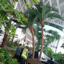 弯杆仿真椰子树生产厂家摄影道具婚庆民宿室内园艺造景装饰棕榈树