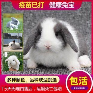 ���ӻ���С��٪���ú��m�N�۶�������W�tС���ͯ���B������