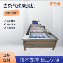 特价果蔬气泡清洗机水果生蚝清洗设备全自动大型商用现货