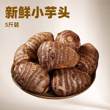 �������ţ��С���^9���������r����պ�Ǯa��ֱ�����l����