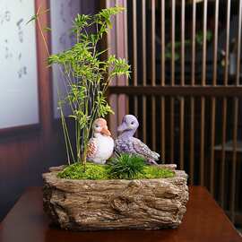 跨境创意个性无孔可水培绿植花盆桌面摆件庭院花园盆载景观装饰