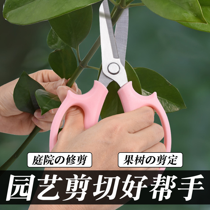 花艺师插花剪子园艺省力修枝剪修花家用花艺剪刀打刺盆栽修剪工具