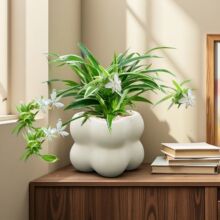 ��߅���m���Կ͏d�Gֲ�҃ȃ����՚⻨���k�������洹��ֲ����B