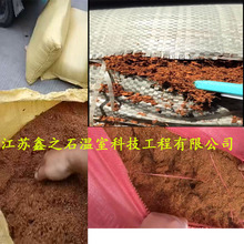 椰糠椰土一件起批椰土营养土栽培基质养花种菜绿化爬虫垫材绿植