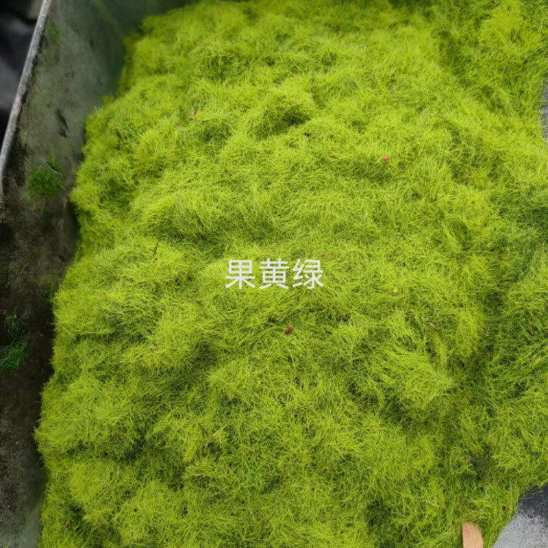 4ae9164bd31de9a7ba7859c9e3b8a0