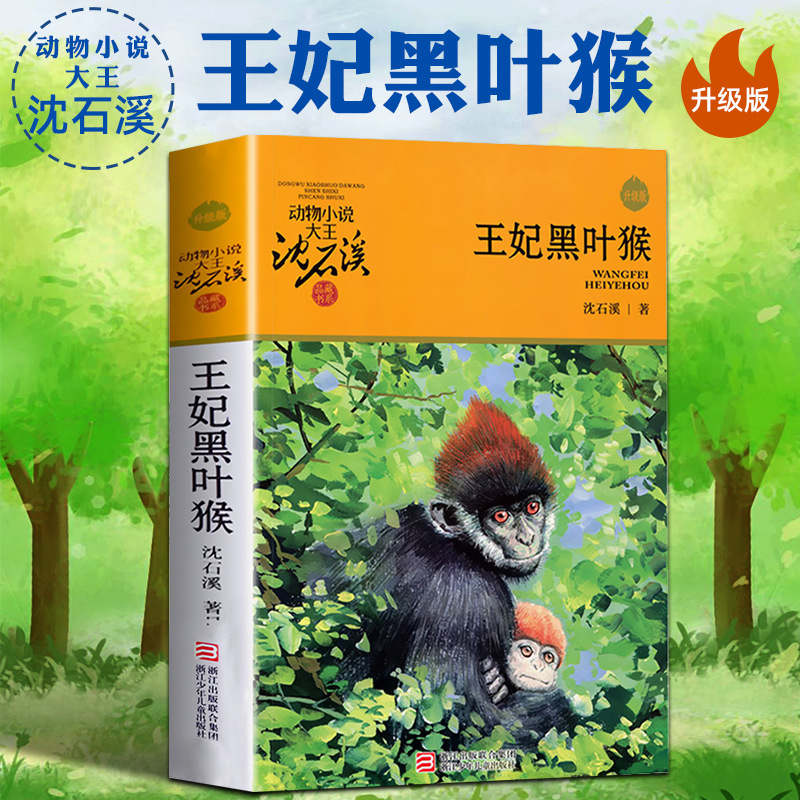 검은잎원숭이 공주