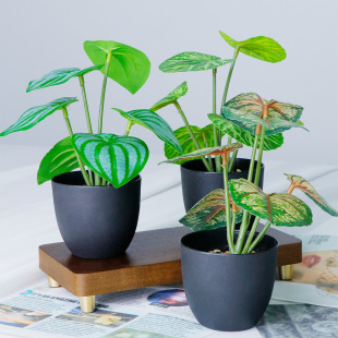 Cross-Border Simulated Plant Furniture Living Room Office Desk Decoration Fake Green Plant Potted Turtle Leaf Watermelon Begonia Leaf