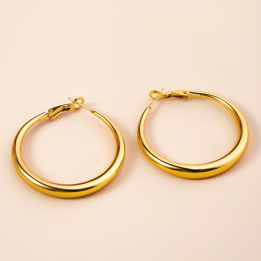 Earrings stainless steel, accessory, 18 carat, light luxury style