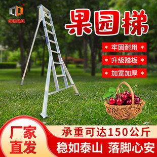�X�Ͻ�G���@���޼����@�ݼ������ǈ@ˇˮ����ժ���ҼӺ����_����