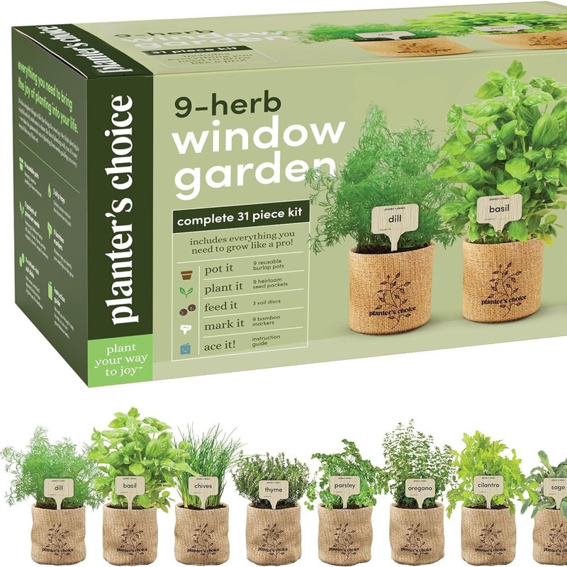 Amazon Children's and Adults' DIY Observation and Planting Science Plant Potting Indoor Balcony Garden Combination Kit. Amazon Children's and Adults' DIY Observation and Planting Science Plant Potting Indoor Balcony Garden Combination Kit.