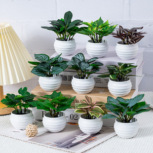 Cross-border simulation green plant mini bonsai fake flower office desktop small potted plant living room decoration simulation floral ornaments