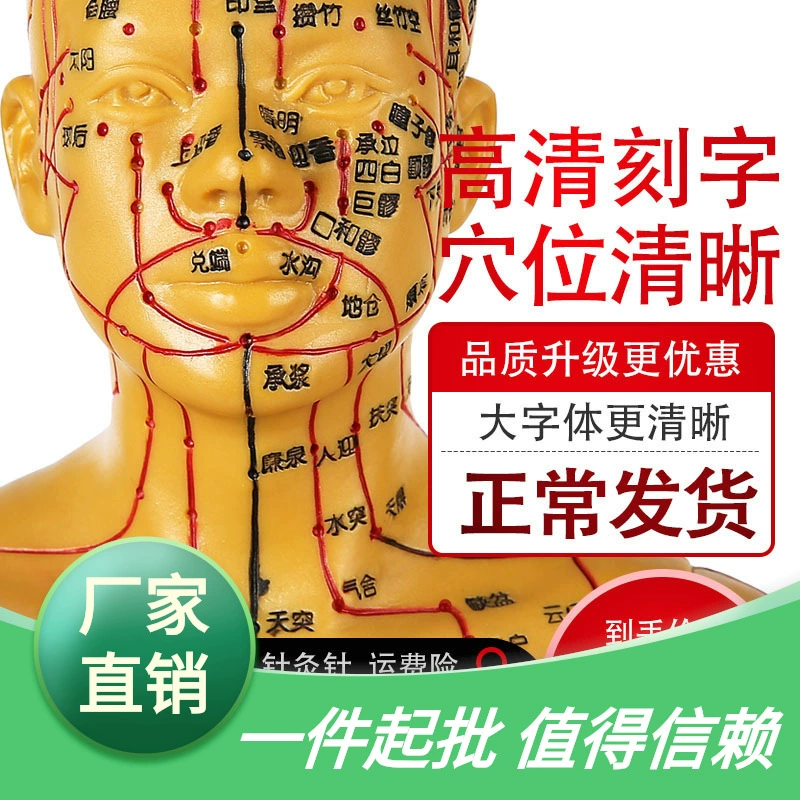 Мужская и женская силиконовая модель меридиана традиционной китайской медицины, акупунктура всего тела, миниатюрная модель человека, диаграмма акупунктурных точек, можно использовать для акупунктуры, маленький медный человек