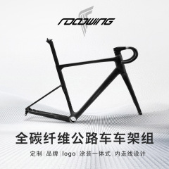 ROADWING 新款内走线全碳纤维车架 品牌logo涂装一体式 厂家直销