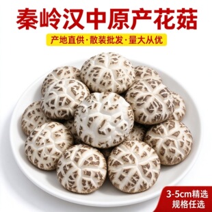 ������؛�ؼ��󻨹�С�����؎X�a��ֱ�lԴ�^������؛ʳ�����l