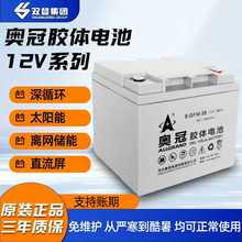 �W���z�w��늳�6-GFM-100������12V200AH̫��ܹ���l늌���늳�