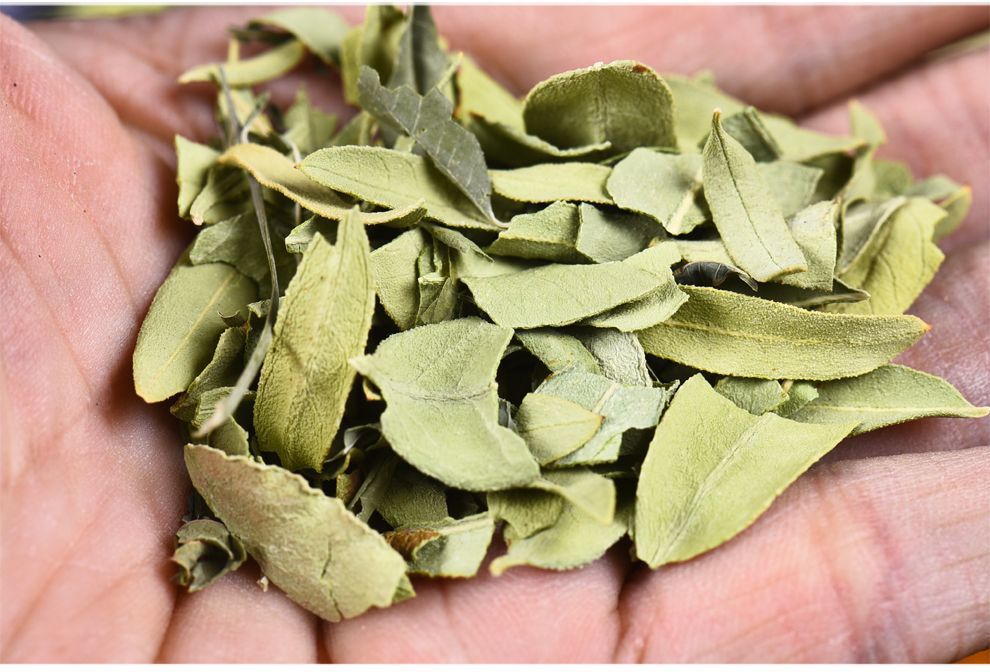Luo Bu Ma Apocynum Tea Leaves 500g Dried Luobuma Herbal Leaf Tea for Daily Brewing specifications