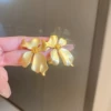 Золотой