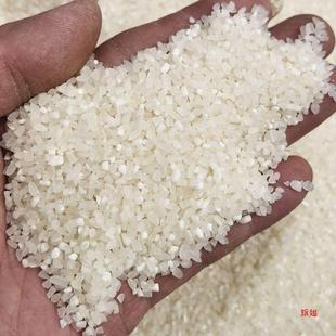 ll�������ι�u�����С���l���Z���i��~�~�D��C�ϏS�������K