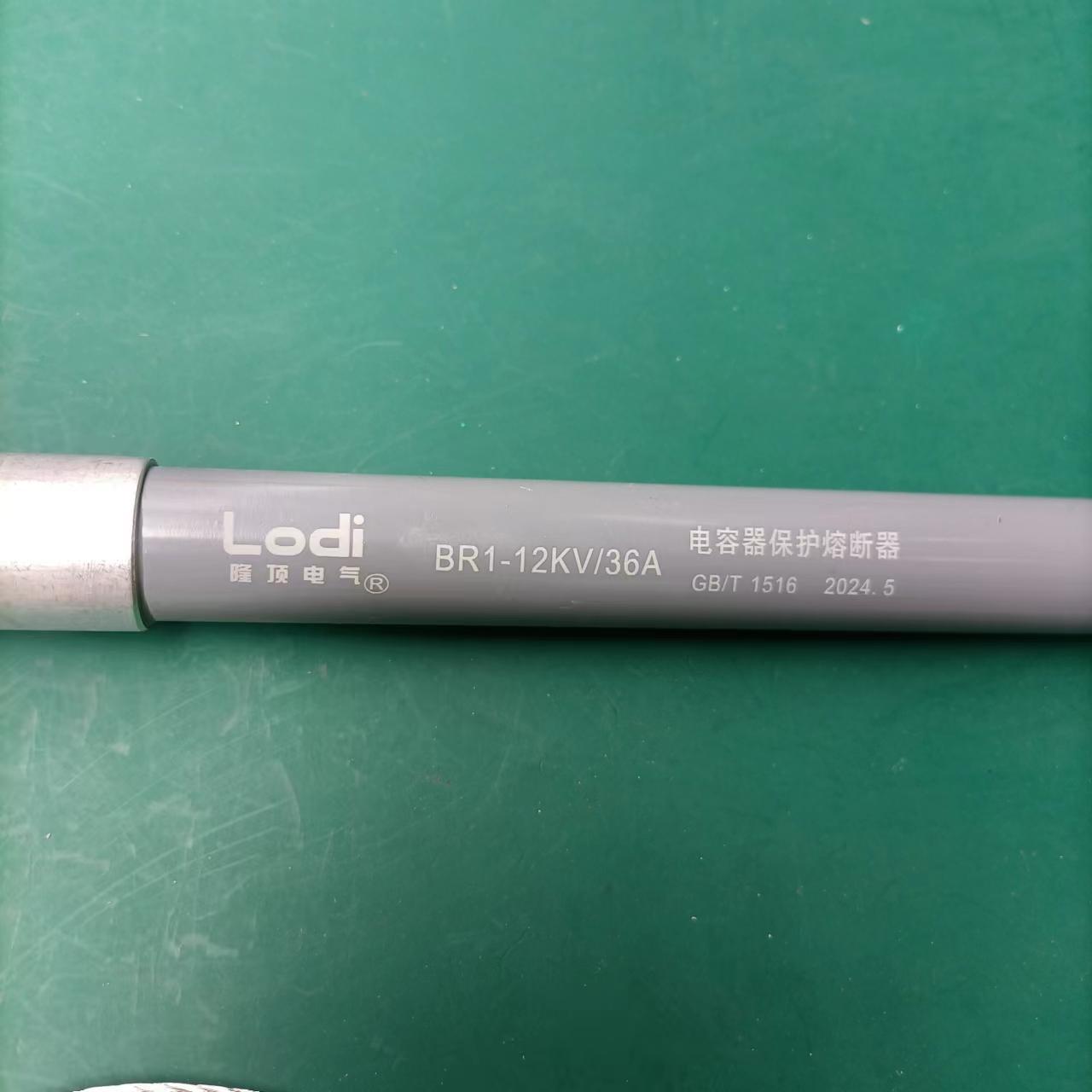 隆顶电气  电容保护高压熔断器 BRW  BRW2 BR1 BR2 BRN熔断器