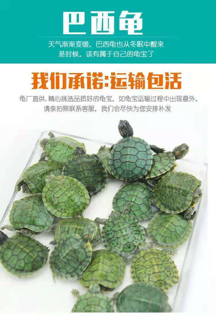 7a7e6933-1c9c-4351-9628-c6cbcfc44d8f.jpe