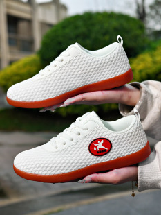 Tai Chi Shoes for Men and Women, Spring and Summer Breathable Mesh Shoes, Soft Soles, Lightweight Casual Sports Shoes, Martial Arts Shoes, Practice Shoes