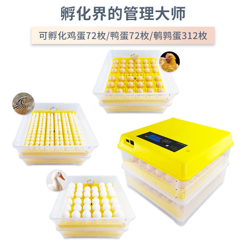 72 incubadora inteligente incubadora pollo pato codorniz paloma incubadora pequeña incubadora doméstica con un solo clic de incubación