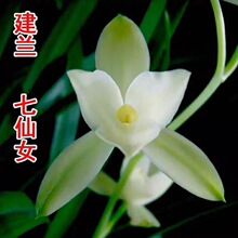 �m���罨�m�ļ��m����Ů�������҃ȾGֲ�������Ժ��B �m������