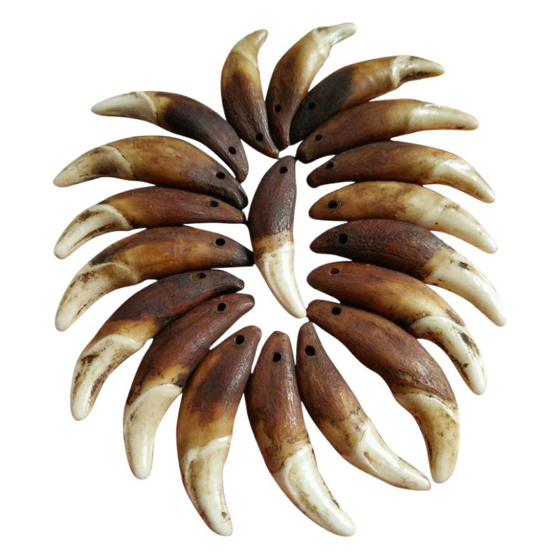 Настоящие украшения из собачьих зубов, кулон из собачьего зуба, винтажный черный собачий зуб, отбеленный зуб тибетского мастифа, оптовая продажа ожерелий, браслетов, товары для уличных рынков, зубы.