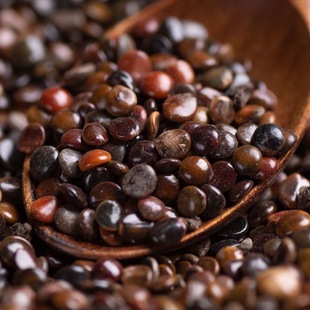 �ח��Ӄ��|�ח��Ӳ��ƲĹ՗�����؛���N���и���� 500�����l�r