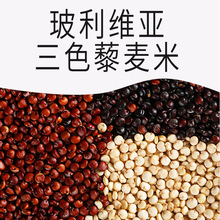 ��޼���t޼�����l����s�Z�ּZ������ɫ޼�������S���M����ɫ޼��