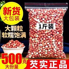 广东肇庆芡实新鲜鸡头米农家自产干货泡茶芡实米煲汤圆径约6-9mm