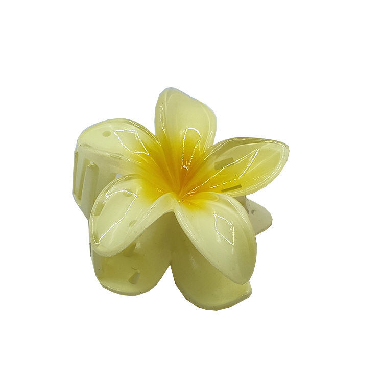 国境を越えたアマゾンの卵の花がグラデーションの花のキャンディー色の紫荊花の後頭部をつかんでサメの花を挟んで髪を伸ばします。|undefined