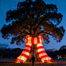 ���ͼtɫ�������ģ�}�Q�������̈���ꐵ��ߑ��ⶬ���Շ��b�