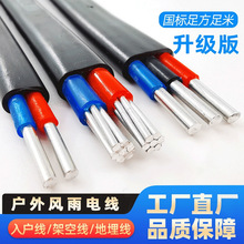 国标户外2芯电线3芯6平方铝线10平电缆线16平方铝线护套家用风雨