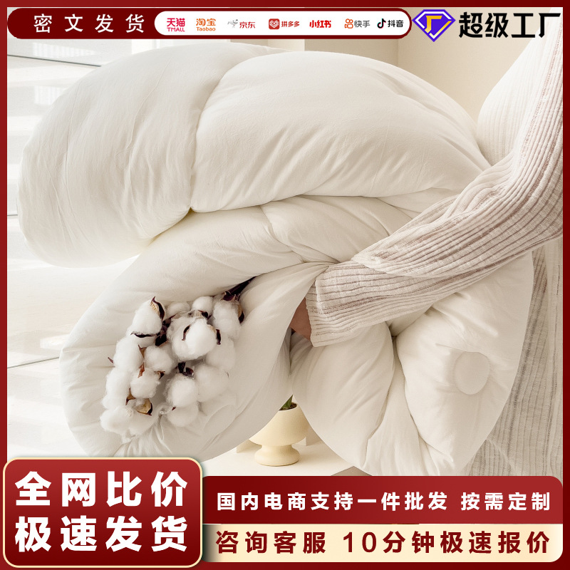Export Spring and Autumn Quilt for Supermarket and Hotel, Muji-Style Autumn and Winter Quilt, Double, Children'S, Student, Single, All-Season Universal Quilt Core