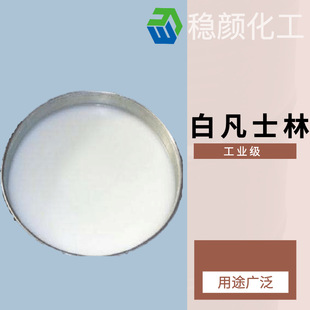 �������� ��ɫ��ʿ�� /�Sɫ��ʿ��   �t�ü�/���I��