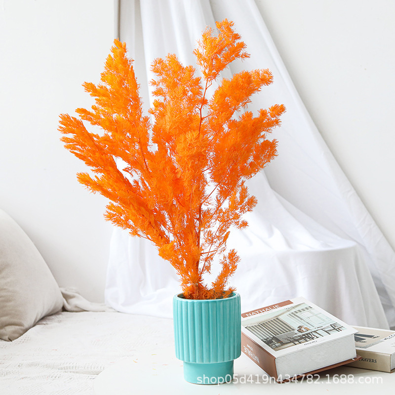 Oranges 100g