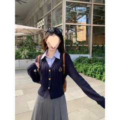套装女2025秋季新款学院假两件针织开衫设计感上衣高腰显瘦半身裙