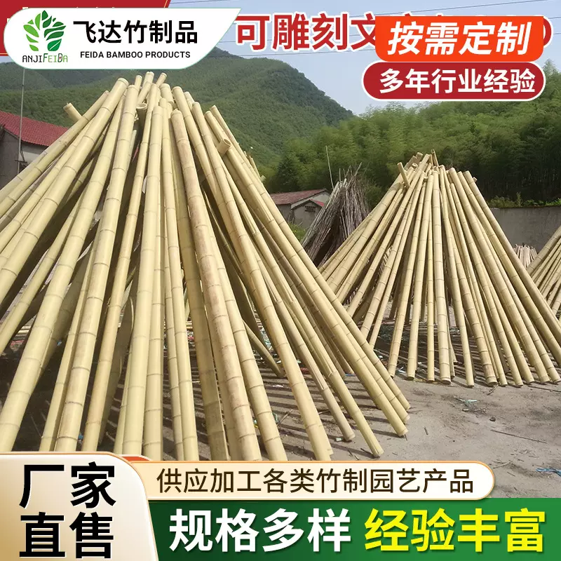 厂家供应大毛竹装饰装修竹子庭院隔断装潢大毛竹搭架竹竿竹杆批发