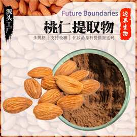 桃仁提取物 10:1 桃仁粉 桃仁皂甙 桃仁浸膏粉 胡桃仁水溶粉 现货