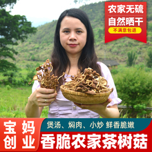广东河源食用茶树菇干货农家开伞新货薪菇营养炒炖煲汤料
