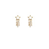 Universal sophisticated earrings, 2023 collection, light luxury style, silver 925 sample