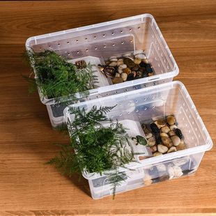 Turtle Box Wholesale Plastic Small Turtle Tank with Terrace Landscaping Small Turtle Tank Ecological Tank Turtle Breeding Tank with Lid