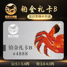 ꖴƴlзKY4888ʹlзY5.0/4.0ĸ匦ʮֻb