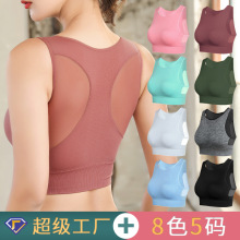 可外穿轻运动网纱美背减震聚拢运动文胸速干大码健身瑜伽运动内衣