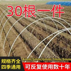 新型小型アーチ型スタンド、豆類温室骨組み、アーチポール、ガラス繊維ポール、農業野菜畑苗支持ポール
