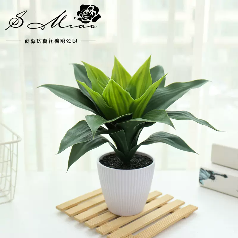 假花仿真多肉植物盆景大芦荟创意小摆件厂家直供家居装饰仿真盆栽