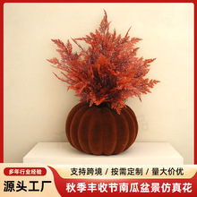 �羳�＾�S�չ�ֵë�Ϲ��辰���滨���մ��ͻ���b�С�[���S��